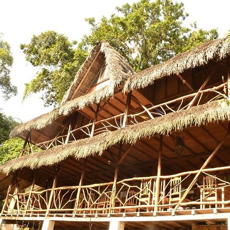 Hostal Pakay Tena Buitenkant foto