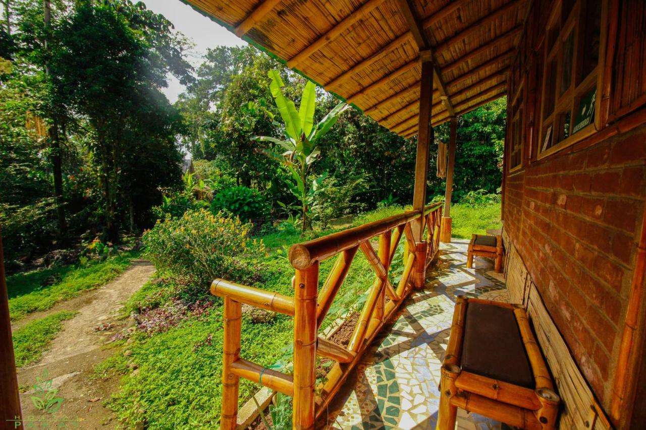 Hostal Pakay Tena Buitenkant foto