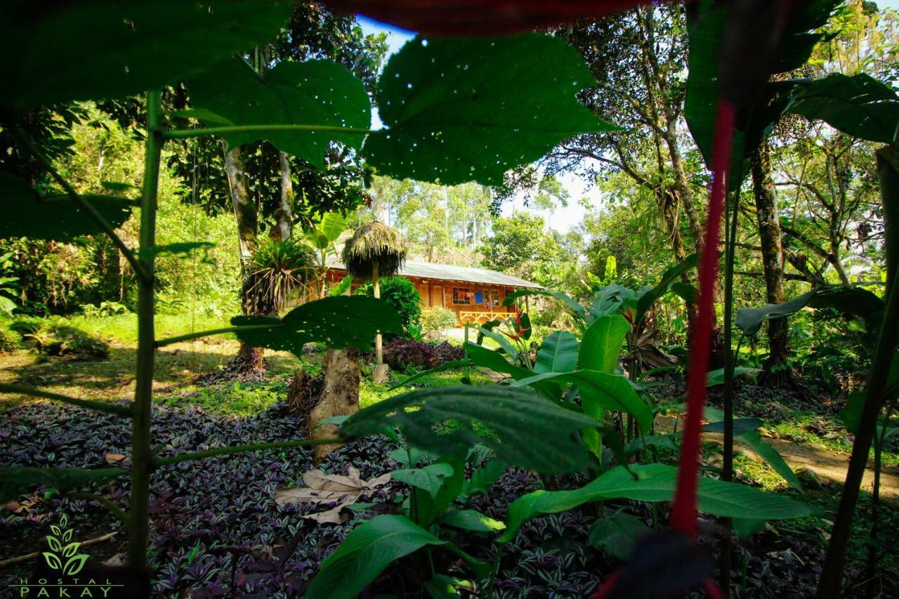 Hostal Pakay Tena Buitenkant foto