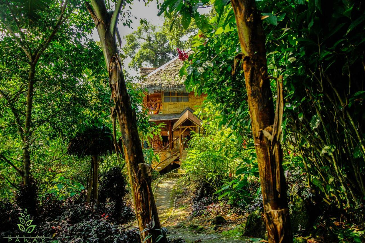 Hostal Pakay Tena Buitenkant foto