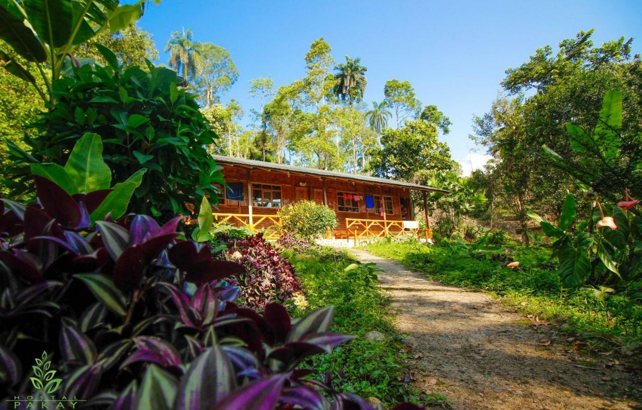 Hostal Pakay Tena Buitenkant foto